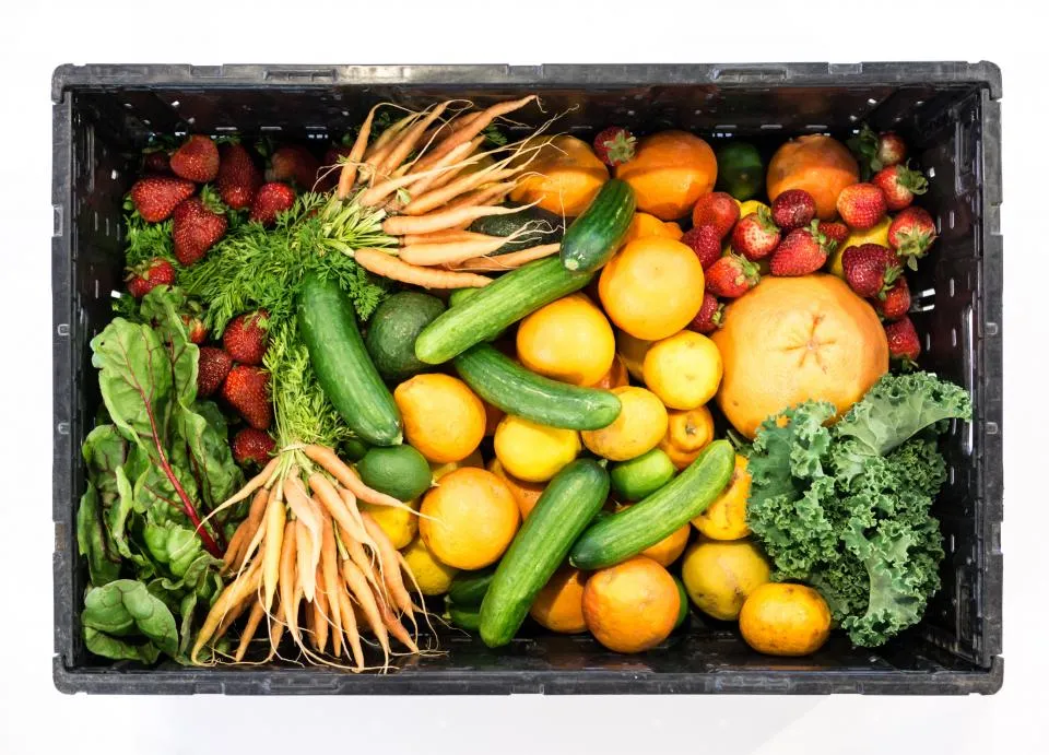 Crate of fresh fruit and vegetables including carrots, cucumbers, oranges and leafy greens