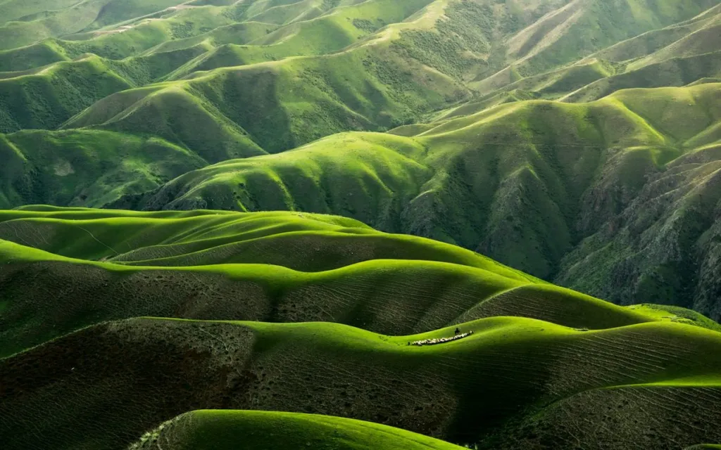 Landscape Photography Tips for Beginners