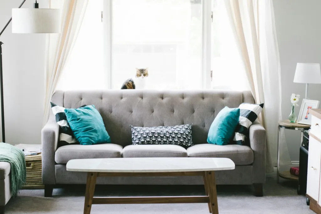 Bright, tidy living room with a grey sofa, cushions, a coffee table and a window