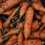 How to Start a Small Vegetable Garden: A Beginner’s Plan